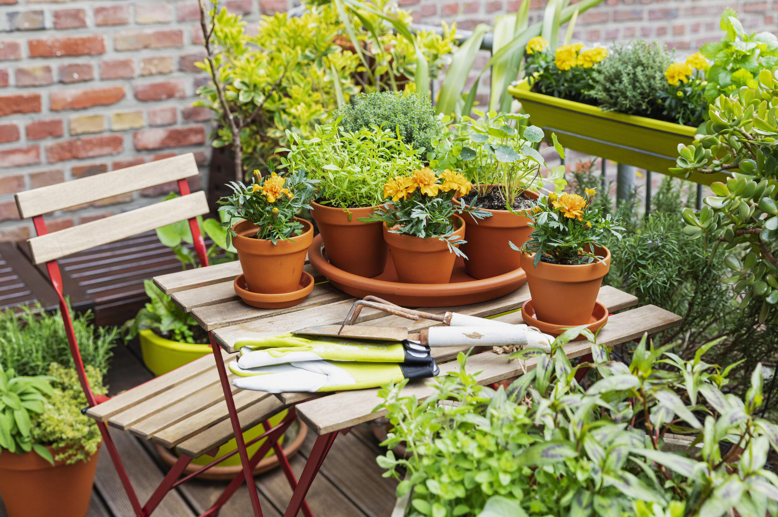 Mistakes To Avoid When Picking Flower Pots For Your Garden